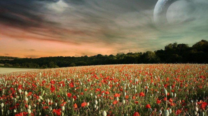 湖南卫视究竟是一个怎样的存在？